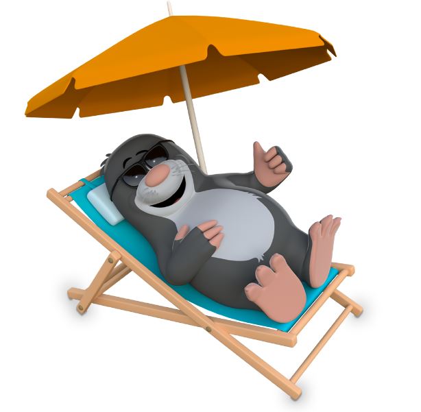 Zomerdienstregeling vanaf 7 juli